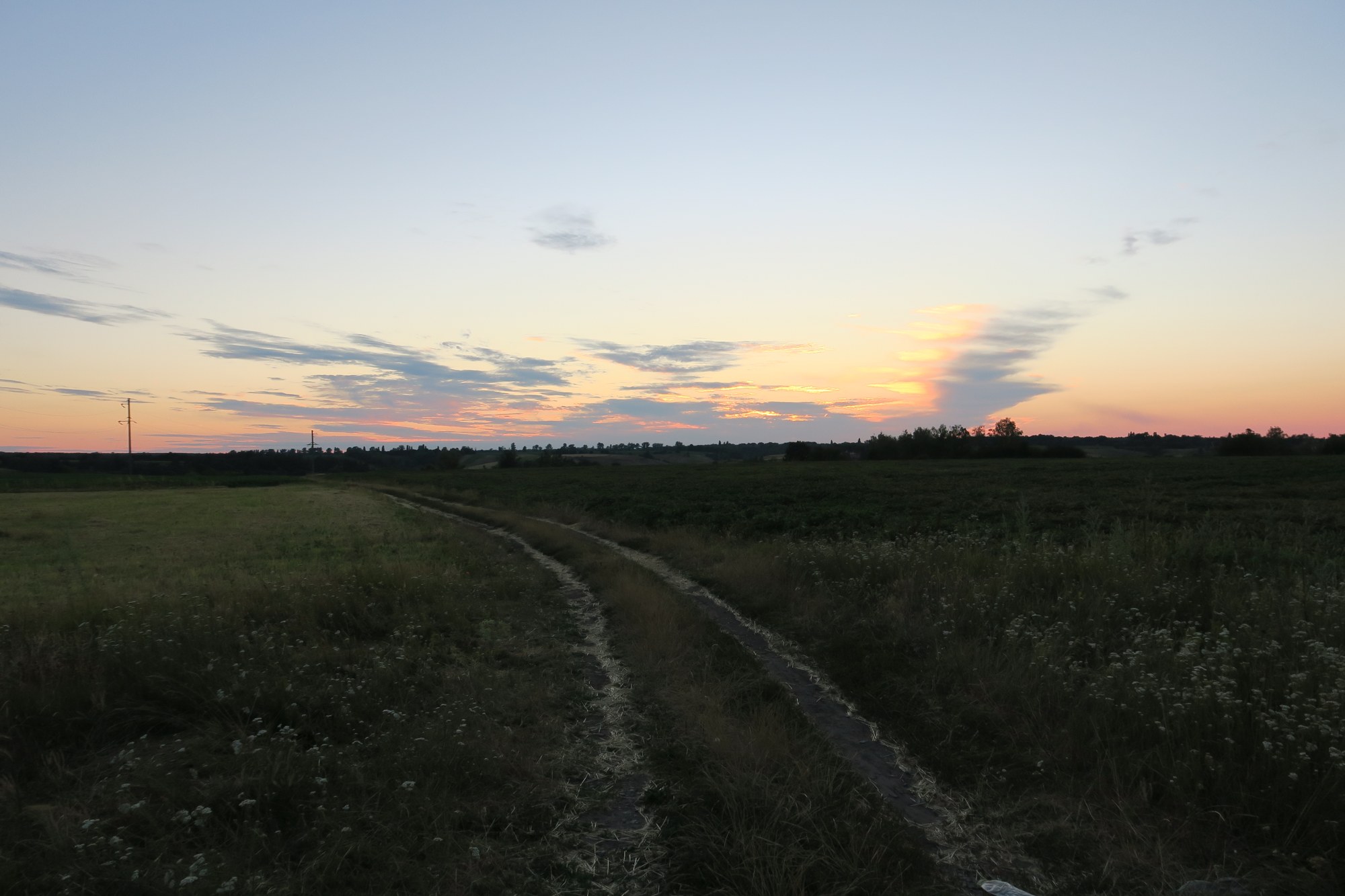 Польові стежки
